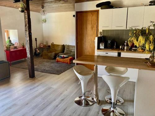 Le Mas-d'Azil Appartement | Appartement cosy