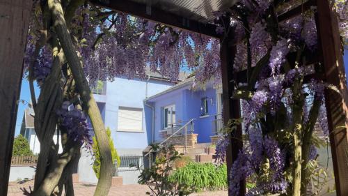 Gundershoffen Appartement | Appartement entier, calme, confortable et spacieux