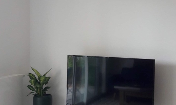 La Roche-sur-Foron Appartement | appartement T2 et jardin