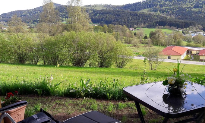 Bodenmais Appartement | Appartement Harlachberg-Blick-2
