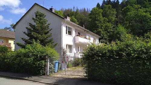Bad Sachsa Appartement | Appartement In Steina Mit Terrasse