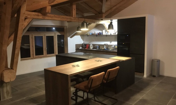 Longefoy Appartement | appartement loft la plagne