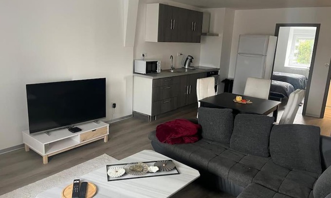 Audincourt Appartement | Appartement Moderne 68 m2 2 ch proche centre ville