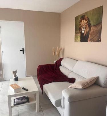 Tarbes Appartement | Appartement spacieux à Tarbes