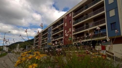 Lelex Appartement | Appartement spacieux tout confort pied des pistes