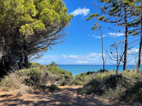 Bravone Appartement | Appartement T2 bord de mer N165