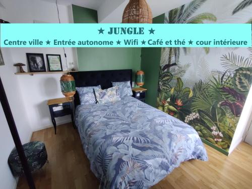 Vitre Appartement | Appartement T2 "JUNGLE" Centre Ville de VITRÉ au calme coté cour