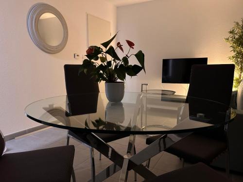 Colomiers Appartement | Appartement T2 proche d'Airbus et centre ville de Toulouse