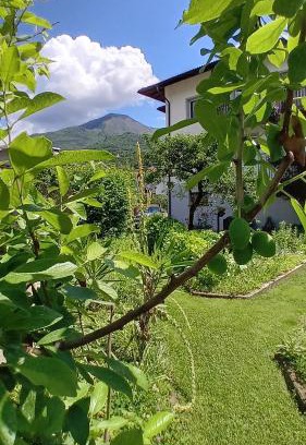 Mattarello Appartement | Appartment Lodged Mamma Maria