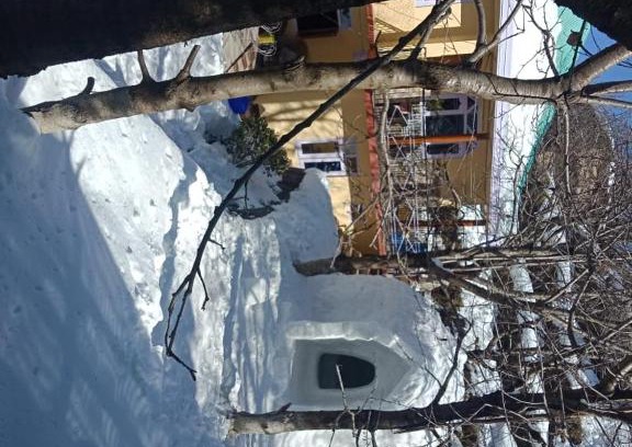 Kumharsain Maison | Apple cherry farm stay