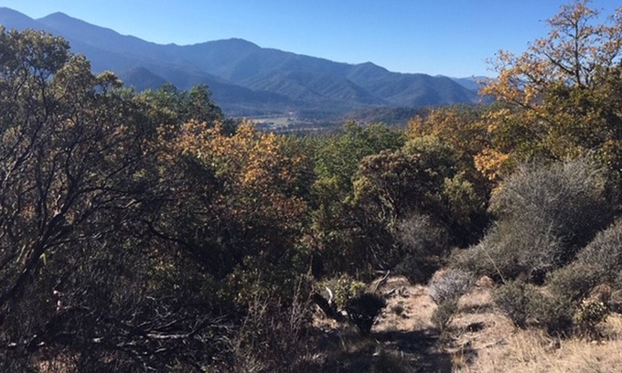 Jacksonville Cabine | Applegate Valley Getaway!