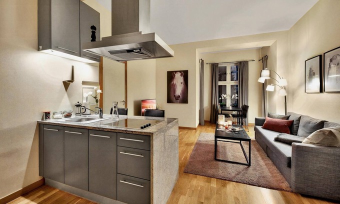 Vika Appartement | Apt. Obs. gt. 12
