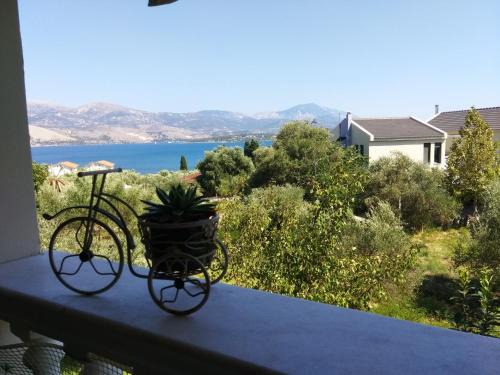 Lixouri Appartement | Araucaria Home