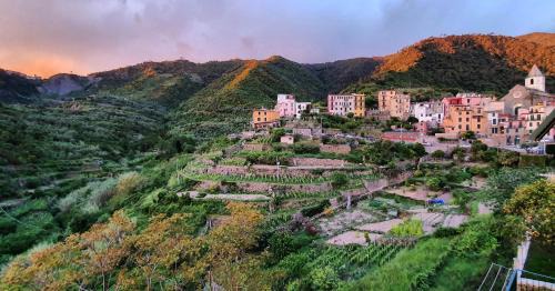 Corniglia Maison | Arbanella