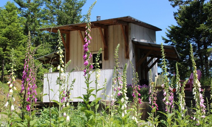 Pender Island Cottage | Cabane d'architecte dans les bois, île Pender