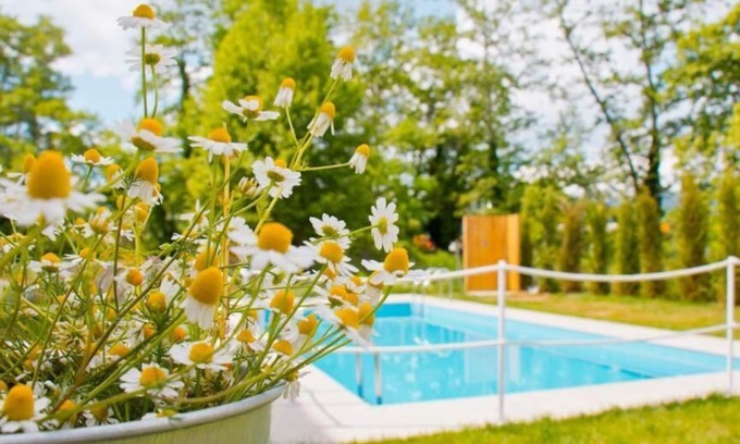 Olympiada Appartement | Aristotelia Gi Ikies - Cozy Poolside Suite