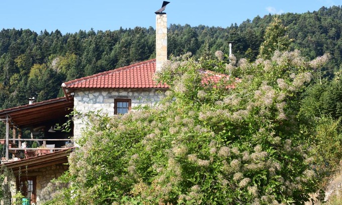 Mesaia Trikala Chalet De Ski | Arli House