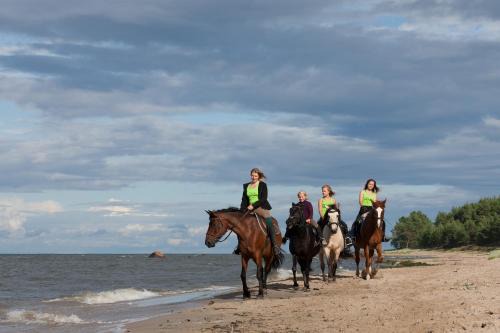 Rutja Maison | Arma Riding Farm And Holiday Home