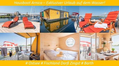 Barth Maison | Arnica