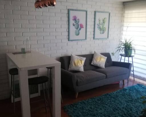 Barrio Italia Appartement | Arriendo depto diario.