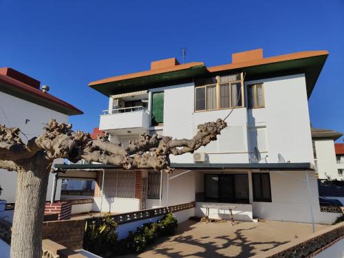 L'Eucaliptus Appartement | Arte y natura en la playa de Eucaliptus