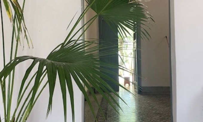 Centro Maison | Artist Home