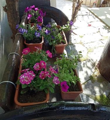 Triacastela Appartement | As Irmas