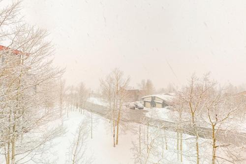 Wildernest Appartement | Aspen Shadows Condo