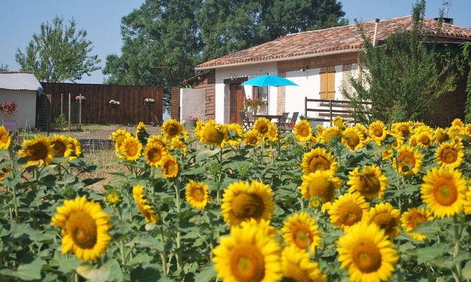 Le Cause Maison | Aux portes du Gers, gîte climatisé de la ferme d'Eden