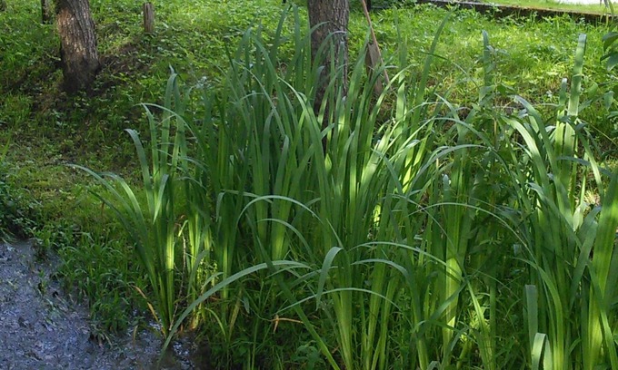 Lisle Maison | Au fil de l'eau en Perigord