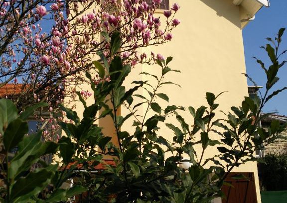 Bourgoin-Jallieu Maison | Atelier Liberation