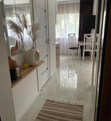 Anyksciai Appartement | Atostogos
