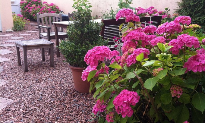 Wimereux Cottage | GITE ATYPIQUE EN FRONT DE MER