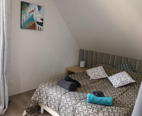 Surbourg Appartement | Au fil du Bonheur studio