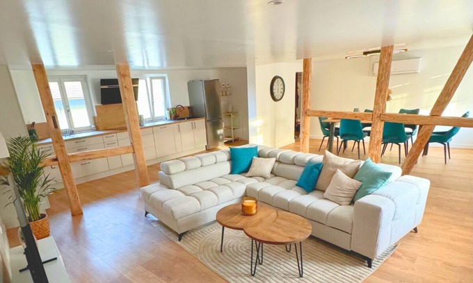 Steinbrunn-le-Bas Appartement | Au Soleil: Grand appartement chaleureux