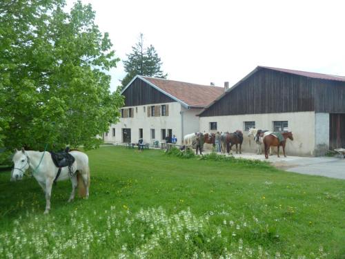 Longcochon Hôtel | Auberge Le Sillet