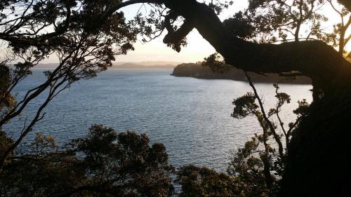Titirangi Maison | Auckland Clifftop