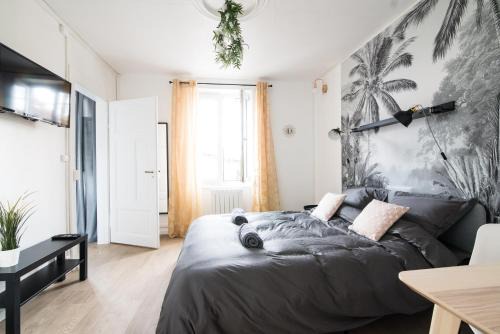 Saverne Appartement | Auguste, La Romaine et My César - Location Saverne
