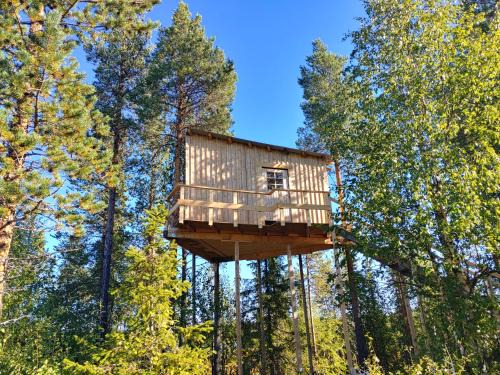 Arvidsjaur Autre | Aurora Lodge