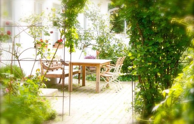 Apetlon Appartement | Auszeit