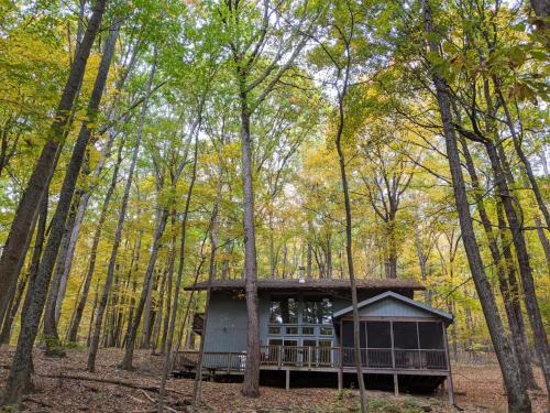 Berkeley Springs Maison | Autumn Wings - Propane Grill, Wifi, Kid Friendly, King Bed, Games, Screen Porch, Pool Access, Hiking
