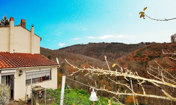 Mazamet Maison | Superbe maison à Mazamet
