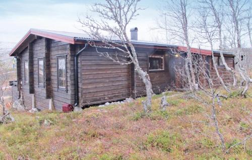 Storhagna Maison | Awesome Home In Vemdalen With Sauna