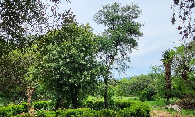 Pretoria Autre | Awoken House of Consciousness - Peaceful & tranquil, curated for wellnes & rest.