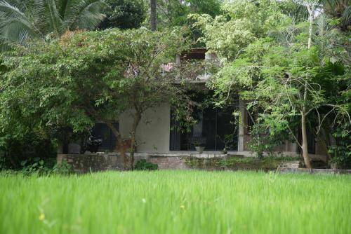 Dambulla Appartement | Ayubowan Eco Lodge
