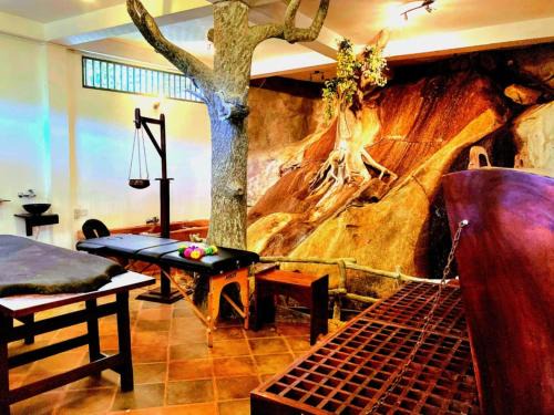 Deniyaya Maison | Ayurweda spa Hotel