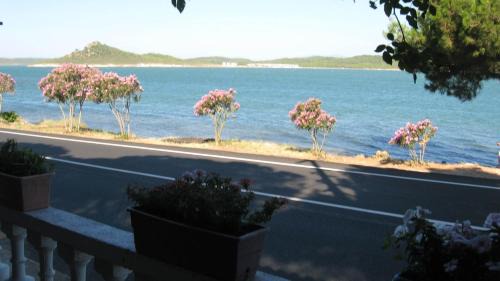 Ayvalik City Center Maison | Ayvalik Dostlar Pansiyon