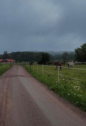 Skovde Municipality Maison | Bäckagården - self catering cabin