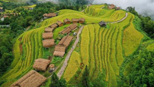 Thong Nguyen Cabine | Bình Minh Homestay