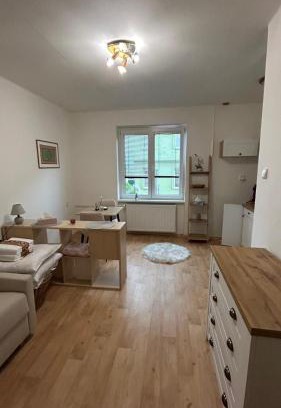 Decin Appartement | Bílý klid nově zrekonstruované studio